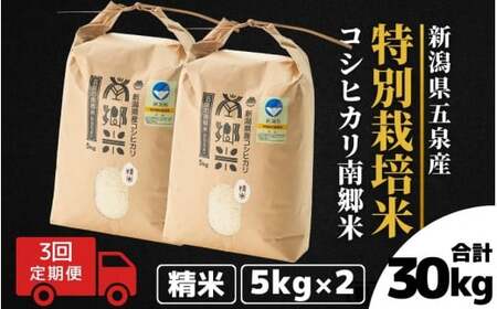 令和7年産米〈3回定期便〉特別栽培コシヒカリ 10kg（5kg×2袋）