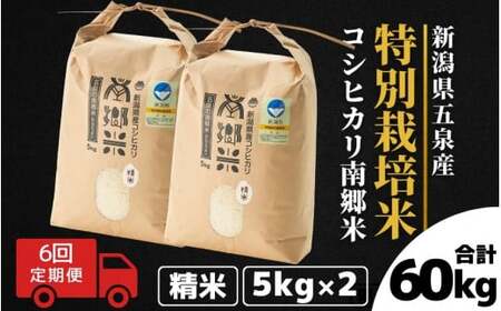 令和7年産米〈6回定期便〉特別栽培コシヒカリ 10kg(5kg×2袋)