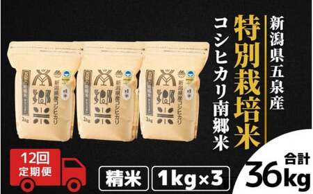令和7年産米〈12回定期便〉特別栽培コシヒカリ 3kg（1kg×3袋）