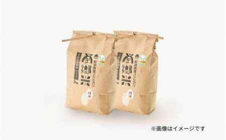 令和7年産米〈12回定期便〉特別栽培コシヒカリ 4kg（2kg×2袋）