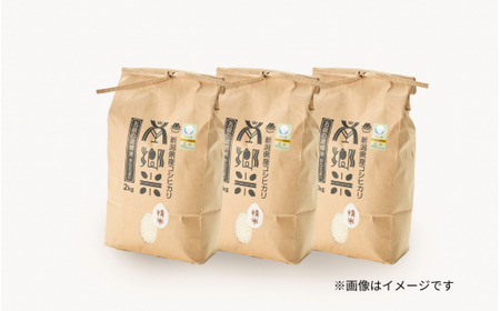 令和7年産米〈6回定期便〉特別栽培コシヒカリ 6kg（2kg×3袋）