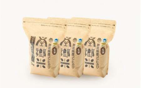 令和7年産米〈12回定期便〉特別栽培コシヒカリ 玄米 3kg（1kg×3袋）