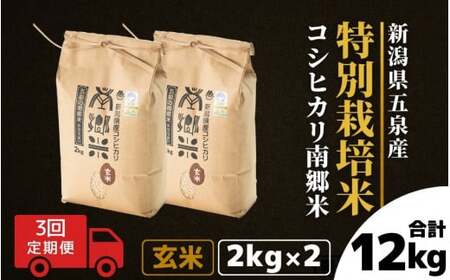 令和7年産米〈3回定期便〉特別栽培コシヒカリ 玄米 4kg（2kg×2袋）