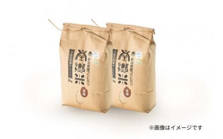 令和7年産米〈3回定期便〉特別栽培コシヒカリ 玄米 4kg（2kg×2袋）