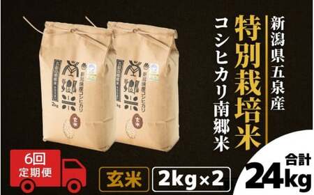 令和7年産米〈6回定期便〉特別栽培コシヒカリ 玄米 4kg（2kg×2袋）