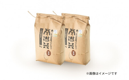 令和7年産米〈12回定期便〉特別栽培コシヒカリ 玄米 4kg（2kg×2袋）