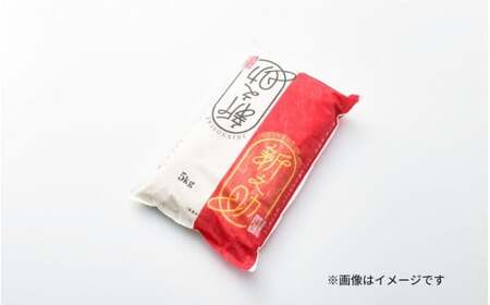 令和7年産米〈3回定期便〉新之助 5kg（5kg×1袋） | 新潟県 新之助