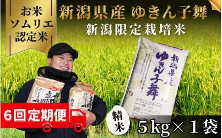 【令和6年産新米】〈6回定期便〉令和6年度産新米【お米ソムリエのお米】ゆきん子舞 精米 5kg（5kg×1袋）［2024年11月以降順次発送］ エバーグリーン農場