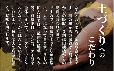 【令和6年産新米】〈6回定期便〉令和6年度産新米【お米ソムリエのお米】ゆきん子舞 精米 5kg（5kg×1袋）［2024年11月以降順次発送］ エバーグリーン農場