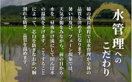 【令和6年産新米】〈6回定期便〉令和6年度産新米【お米ソムリエのお米】ゆきん子舞 精米 5kg（5kg×1袋）［2024年11月以降順次発送］ エバーグリーン農場