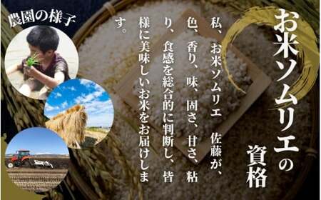 【令和6年産新米】〈6回定期便〉令和6年度産新米【お米ソムリエのお米】ゆきん子舞 精米 5kg（5kg×1袋）［2024年11月以降順次発送］ エバーグリーン農場