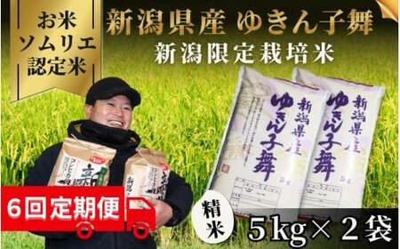 【令和6年産新米】〈6回定期便〉令和6年度産新米【お米ソムリエのお米】ゆきん子舞 精米 10kg（5kg×2袋）［2024年11月以降順次発送］ エバーグリーン農場
