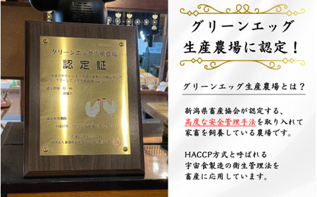 赤たまごMサイズ 60個 産みたてたまごのキムラファーム | 新潟県 卵