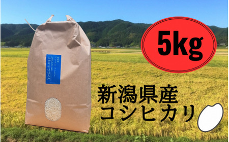 五泉産 コシヒカリ 精米 5kg (5kg×1) 株式会社蛇場農産