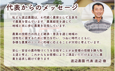 【令和6年度産新米】〈3回定期便〉特別栽培米コシヒカリ 精米 5kg(5kg×1袋) 渡辺農園