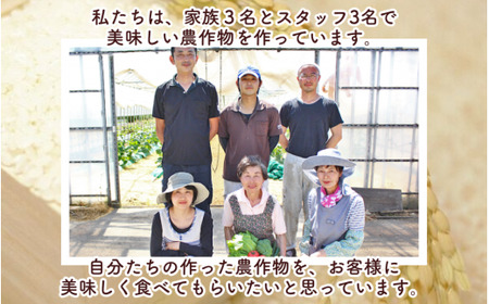 【令和6年度産新米】〈3回定期便〉新之助 精米  5kg(5kg×1袋) 渡辺農園