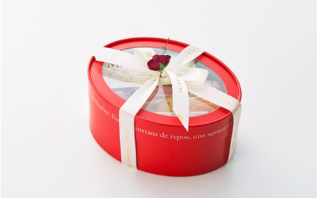 マカロンパリジェンヌ 10個(18g×10個) ※新潟県内・関東地方限定配送