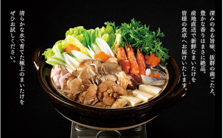 まいたけ 極 1株 ユキグニファクトリー | 新潟県 まいたけ マイタケ