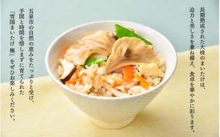 〈隔月6回定期便〉まいたけ 極 1株 ユキグニファクトリー | まいたけ