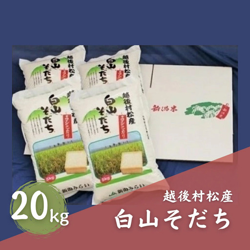 令和7年産 五泉産コシヒカリ「白山そだち」20kg | 新潟県 コシヒカリ
