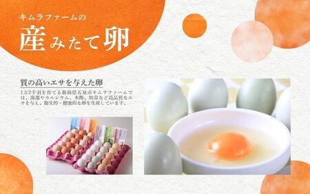 卵 キムラファームの産みたて卵 6色たまご詰合せ 30個 | 新潟県 たまご