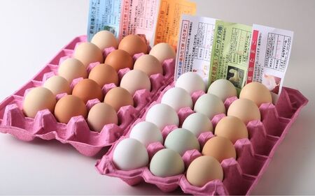 【6回定期便】キムラファームの産みたて玉子 6色たまご詰合せ 30個
