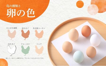 【12回定期便】キムラファームの産みたて玉子 6色たまご詰合せ 30個