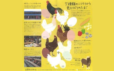 卵 定期便 6ヶ月 産みたて 赤たまご60個（Mサイズ）