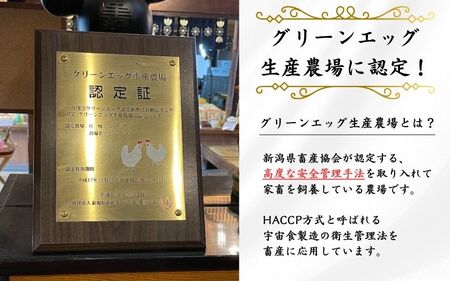 卵 定期便 12ヶ月 産みたて 赤たまご60個（Mサイズ）