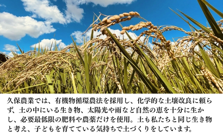 【令和7年産新米】コシヒカリ 精米 5kg | 新潟県 コシヒカリ