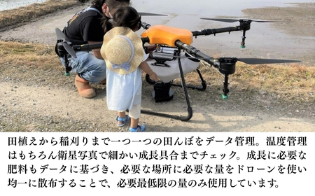 【令和7年産新米】コシヒカリ 精米 5kg | 新潟県 コシヒカリ