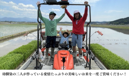 【令和7年産新米】コシヒカリ 精米 5kg | 新潟県 コシヒカリ