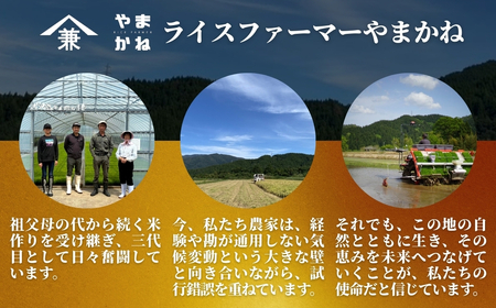 2025年産新米 五泉市産 特別栽培米 コシヒカリ 10kg