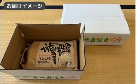 令和7年産米 なごみ農園のコシヒカリ 精米 5kg | 新潟県 五泉市
