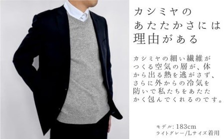 カシミヤVネックセーター ( ライトグレー・LL ) | メンズ ニット