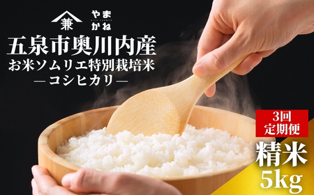 【先行予約】令和8年産 3ヶ月定期便 五泉市産 特別栽培米 コシヒカリ 5kg(5kg×1袋)
