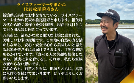 【先行予約】令和8年産 3ヶ月定期便 五泉市産 特別栽培米 コシヒカリ 5kg(5kg×1袋)
