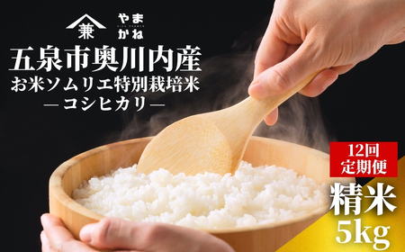【先行予約】令和8年産 12ヶ月定期便 五泉市産 特別栽培米 コシヒカリ 5kg(5kg×1袋)