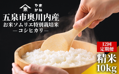 【先行予約】令和8年産 12ヶ月定期便 五泉市産 特別栽培米 コシヒカリ 10kg(5kg×2袋)
