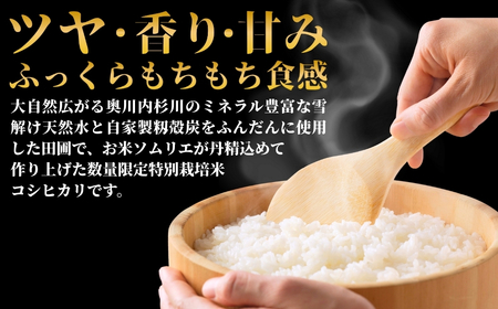 【先行予約】令和8年産 12ヶ月定期便 五泉市産 特別栽培米 コシヒカリ 10kg(5kg×2袋)