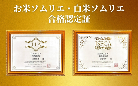【先行予約】令和8年産 12ヶ月定期便 五泉市産 特別栽培米 コシヒカリ 10kg(5kg×2袋)