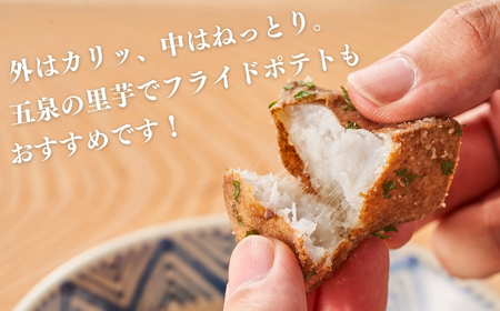 【令和8年産先行予約】五泉産【訳アリ】大玉さといも(2L以上)1kg | 新潟県 里芋