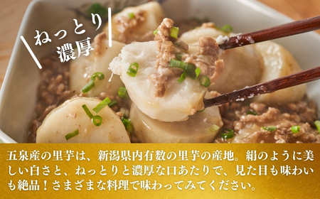 【令和8年産先行予約】五泉産【訳アリ】大玉さといも(2L以上)1kg | 新潟県 里芋