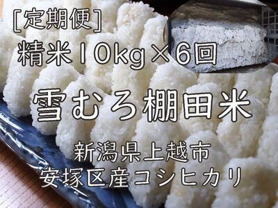 雪むろ棚田米コシヒカリ10kg精白米[定期便]毎月発送(計6回)