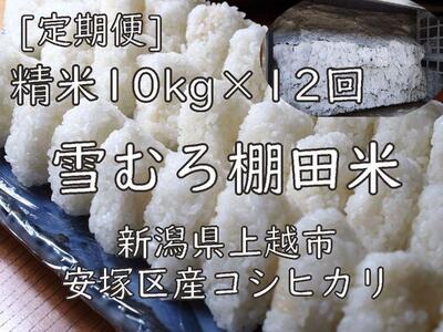 雪むろ棚田米コシヒカリ10kg精白米[定期便]毎月発送(計12回)