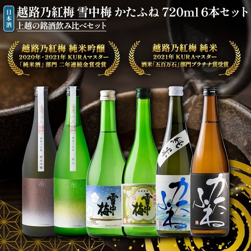 日本酒 越路乃紅梅 雪中梅 かたふね 720ml 6本 セット 雪中梅 かたふね 飲み比べ 越路乃紅梅 越路乃紅梅 お酒 ふるさと納税 新潟 新潟県産 にいがた 上越 上越産