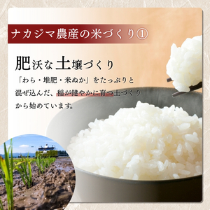 米25キロ コシヒカリ 新潟県産コシヒカリ 白米 新潟米 お米 謙信