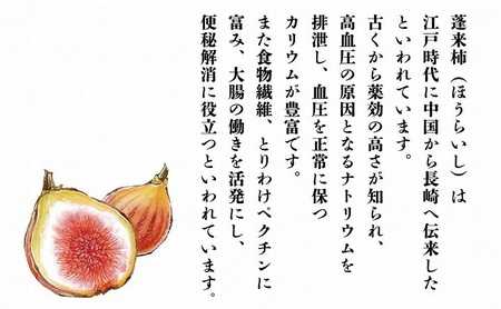 リキュール 無花果ものがたり 1.8L リキュール酒 酒 お酒 いちじく イチジク 無花果  新潟 新潟県産 にいがた 上越 上越産