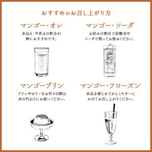 マンゴー果汁入り飲料 720ml 1本 ふるさと納税
