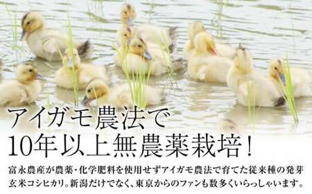 令和5年・新潟県産｜JAS有機栽培アイガモ農法 コシヒカリ 発芽玄米 2kg